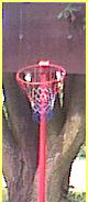 Unser Baskettballkorb